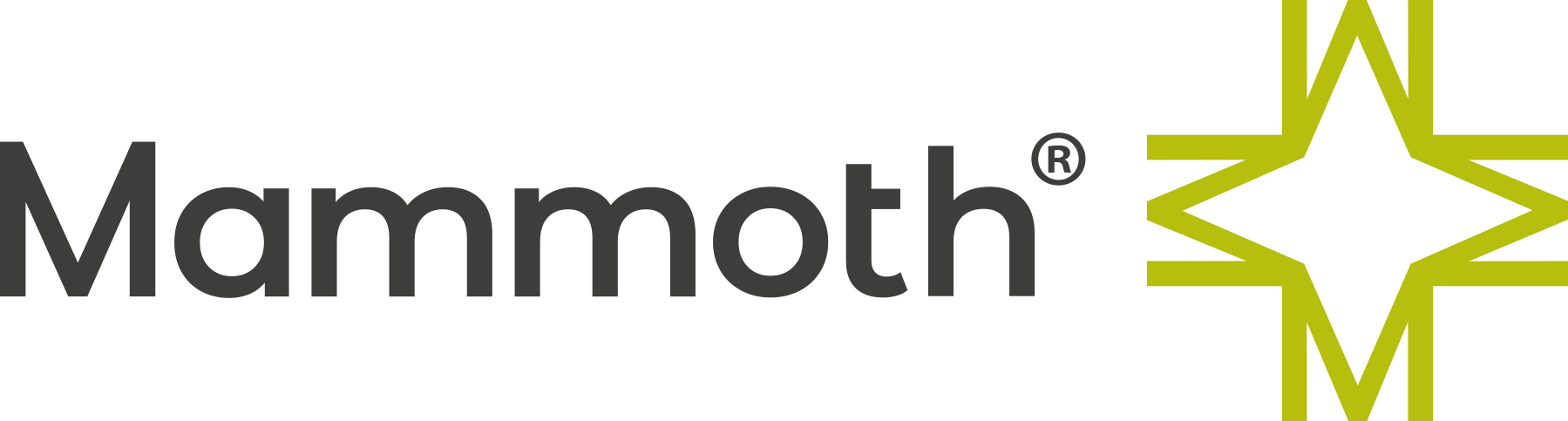 Mammoth Mattresses
