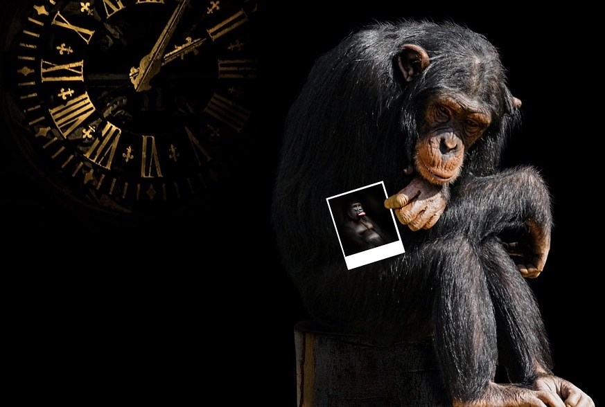 Facing up to your inner chimp to identify core values